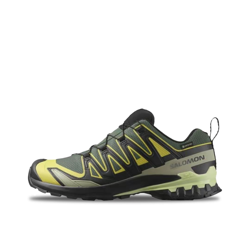 Salomon XA Pro 3D V9 GTX: Retr - Salomon Shoes Xa Pro 3D review and price