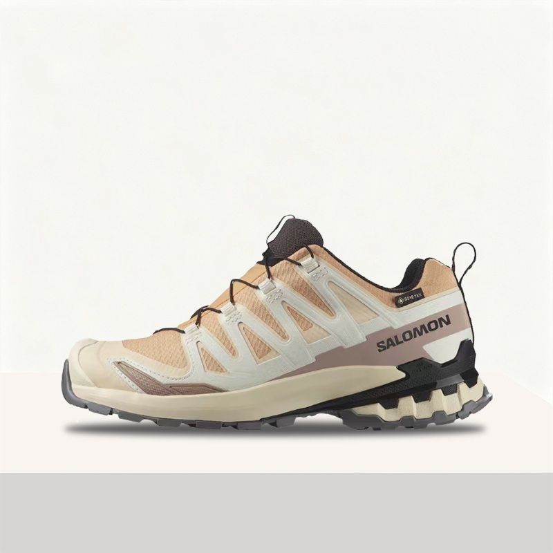 Salomon XA Pro 3D V9 GTX: A lo - Salomon Shoes Xa Pro 3D review and price
