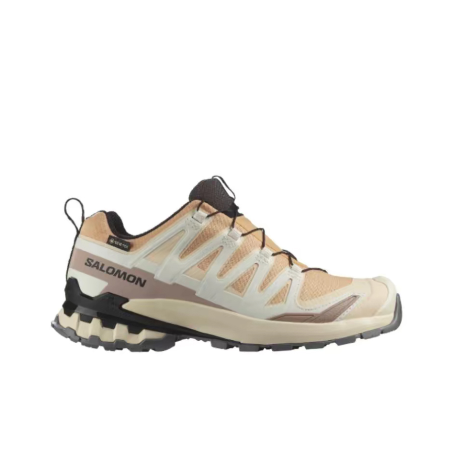 Salomon XA Pro 3D V9 GTX: A lo - Salomon Shoes Xa Pro 3D review and price