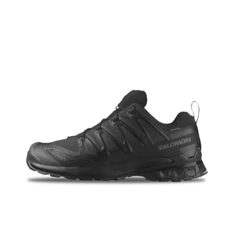 Salomon XA Pro 3D V8: Stylish, - Salomon Shoes Xa Pro 3D review and price