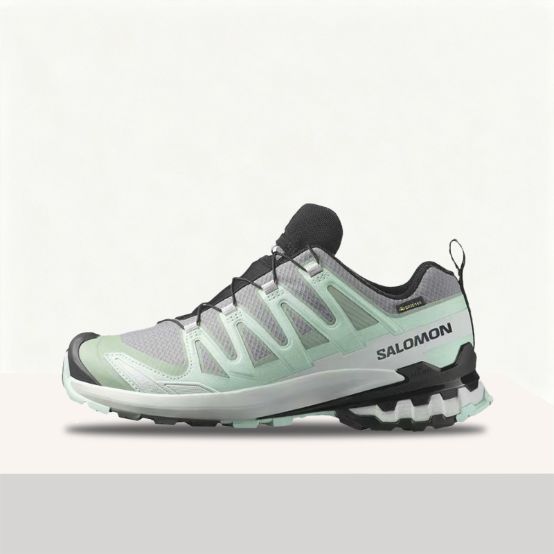 Salomon XA Pro 3D V9 GTX: Styl - Salomon Shoes Xa Pro 3D review and price