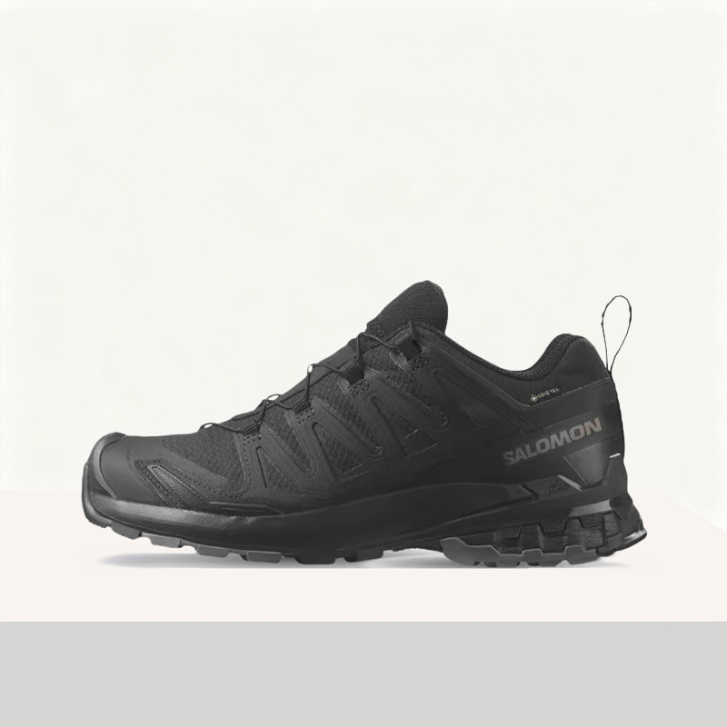 Salomon XA Pro 3D V8: All-weat - Salomon Shoes Xa Pro 3D review and price