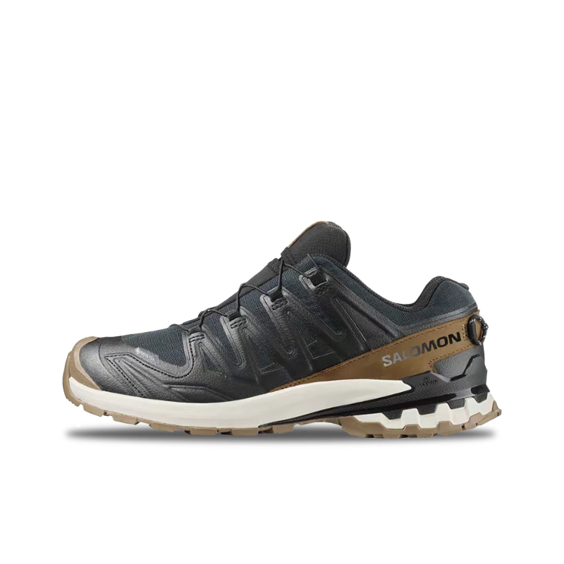 Salomon XA Pro 3D V8 Retro, St - Salomon Shoes Xa Pro 3D review and price