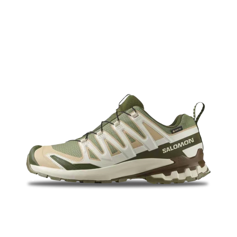 Salomon XA Pro 3D V9 GTX Men's - Salomon Shoes Xa Pro 3D review and price